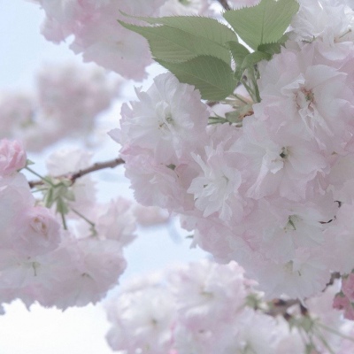 兽设拟人化设计技巧福瑞交流群